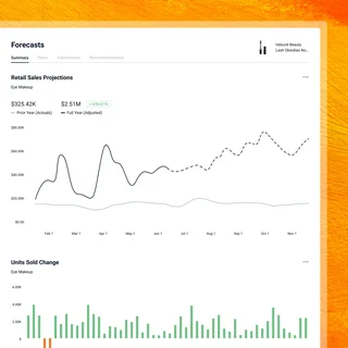 Forecasts Report With Sales Projection Chart