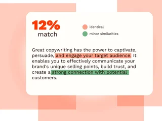 Plagiarism Detection
