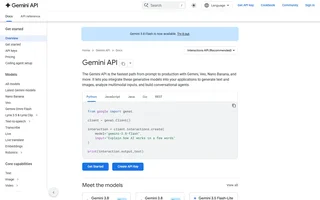 Gemini Api Docs Home With A Python Code Sample