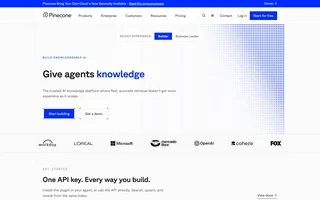 Pinecone Homepage With Its Knowledge Headline