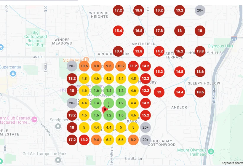 Local Rank Tracker Grid