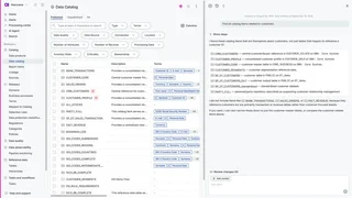 Ataccama One Data Catalog With The Ai Agent