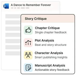 Story Critique