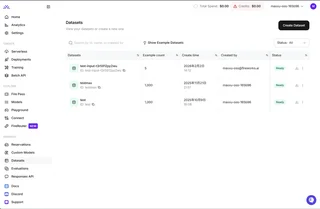 Datasets List In The Fireworks Console
