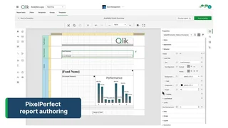 Pixelperfect Report Template Editor