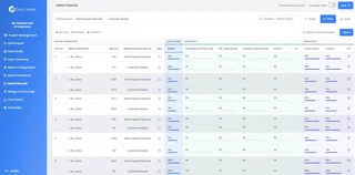 Datamatch Match Results With Pair Scores