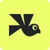 Wingify