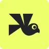 Wingify