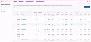 Audience Insights And Builder