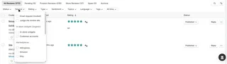 Reviews Dashboard Filters
