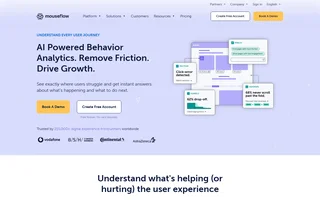 Mouseflow Homepage