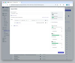 Segment Audience Report