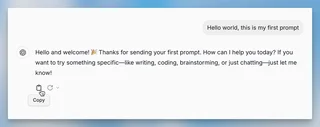 Chat Prompt And Model Reply