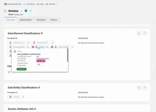 Data Catalog Asset Classifications