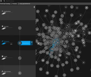 Smartscape Topology Process View