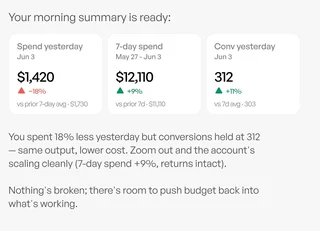 Performance Agent Daily Spend Summary