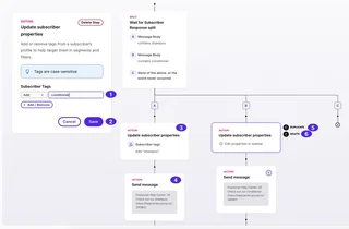 Subscriber Tagging In A Flow