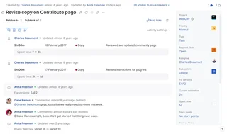 Issue View With Activity Stream