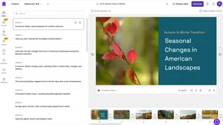 Storyboard Editor With Scenes And A Preview