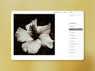 Edit Tool On A Flower Image With Its Sidebar