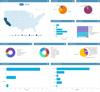 Audience Insights Dashboard