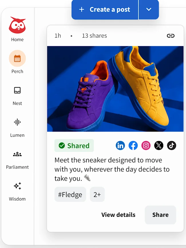 Shared Post Card In The Dashboard