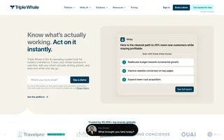 Triple Whale Homepage