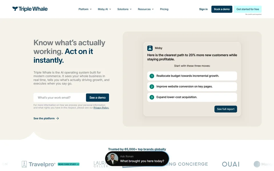 Triple Whale Homepage